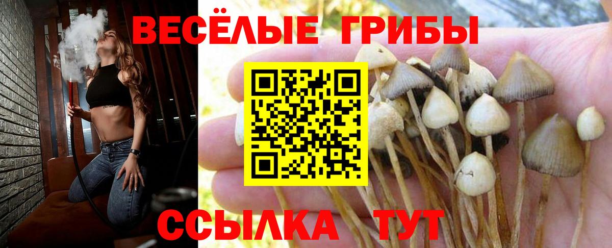 Галлюциногенные грибы Magic Shrooms Волоколамск